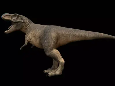 Tyrannosaurus Rex - Theropod Dinosaur Low-poly 3D model