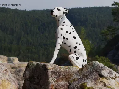 Dalmatian Dog Sitting Pose 3D model