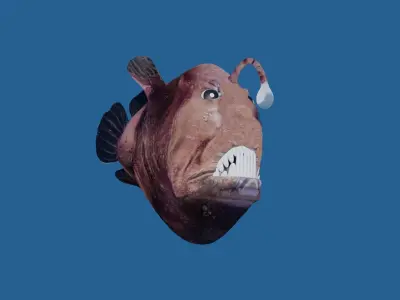 angler fish 3D model purchase