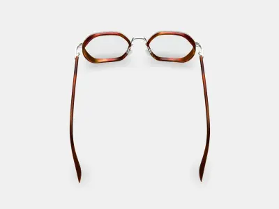 Levins Eyeglasses in Rye Tortoise Matte with Antique Silver 3D model
