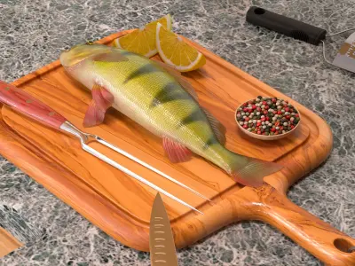  Caught Yellow Perch Fish Lying Pose 