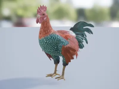 Rooster  Low-poly 3D model