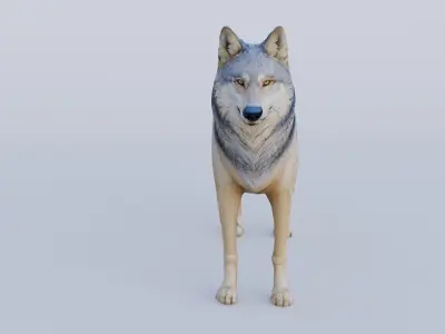 Wolf King Free 3D model