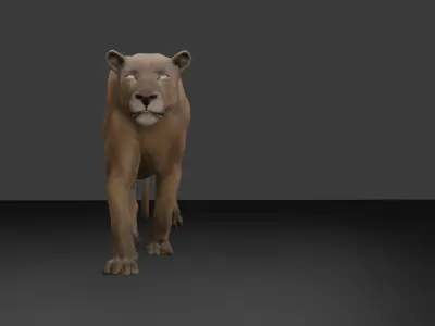 Female Lion with Walk Animation Low-poly 3D model