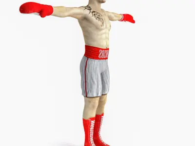 Male Boxer Low-poly 3D model