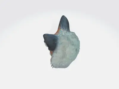 fox with large pointed ears 3D model