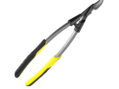 Bypass Lopper 3D model