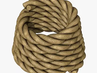 Thick Rope 3D model