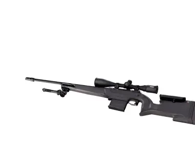 Creedmoor Accuracy rifle  3D model