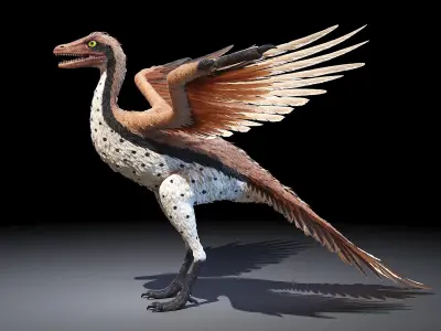 Dinopack Flying Static 3D model