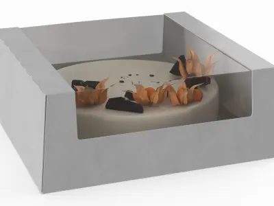 Transparent Window Box with Minimalist Cake with Physalis 3D model