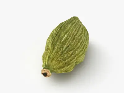Cardamom Collection 3D model