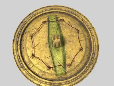 Spartan Shield Low-poly 3D model