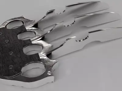 Pantera Claw  Low-poly 3D model