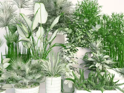 Plants 19 3D model