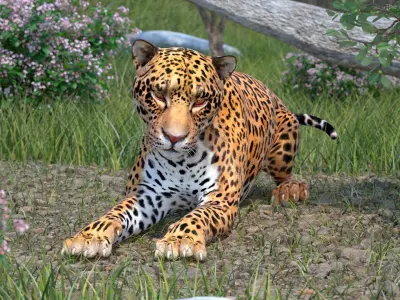 Jaguar Lying Down 3D model