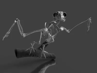 Silver Metal Owl Skeleton for Art Visualization Project 3D model
