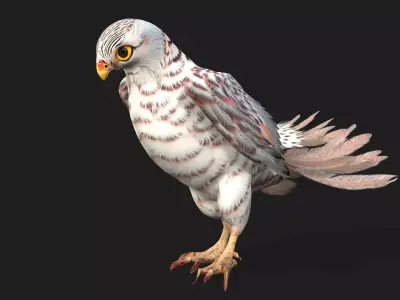 Kestrel B5 Free low-poly 3D model