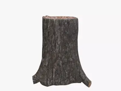Medieval Tree Trunk V04 Low-poly 3D model