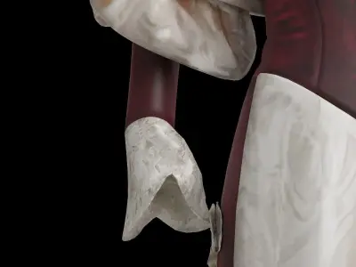 Mary King Scrimgeour Embellished Velvet And Satin Gown 3D model
