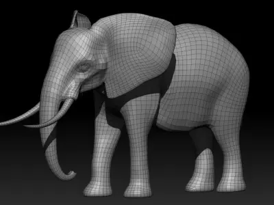 Elephant Base Mesh from Valeanu Andrei Low-poly 3D model