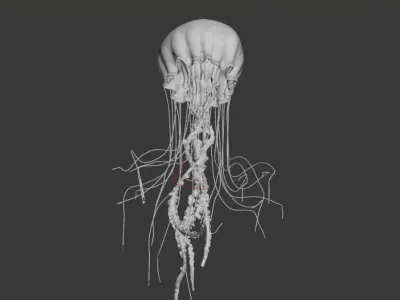 Jellyfish Animated 3D model