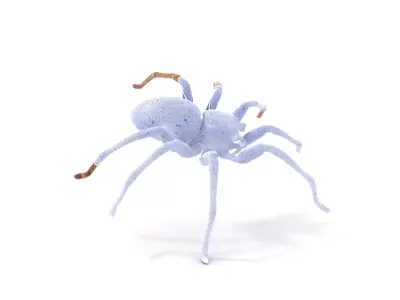 Metallic Spider model pack Low-poly 3D model