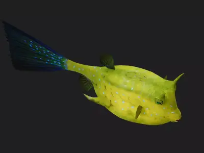 Filefish Low-poly 3D model purchase