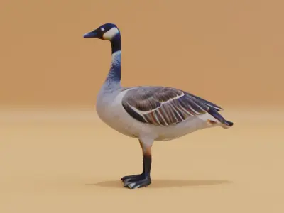 Goose Large Free low-poly 3D model