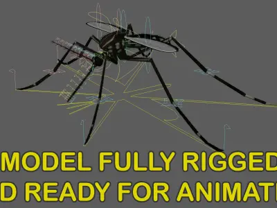 Mosquito Yellow Fever (Animated) 3D model