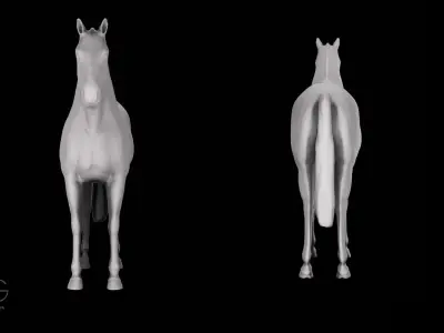 Horse Sculpt 3D model