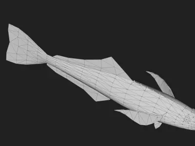 Bass fish Low-poly 3D model 11