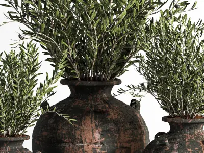Olive plant In Antique Clay Vessels And Indoor Plant Set 07 3D model
