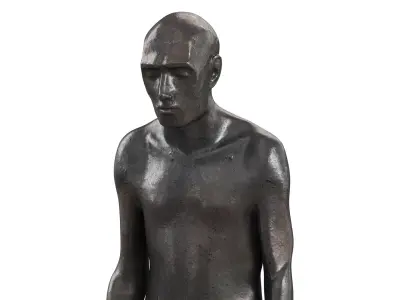  Melancholic male torso in metal 