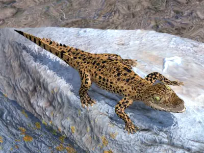  Rigged Reptiles Collection 2 for Maya 