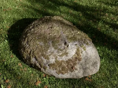  Cool Toned Round Mossy Smooth Large Rock Boulder Model 