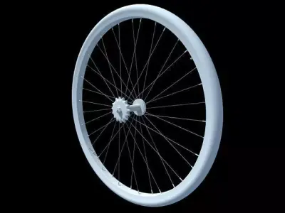 Detailed Bike Wheel 3D model
