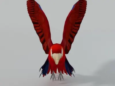 Red Macaw Low-poly 3D model
