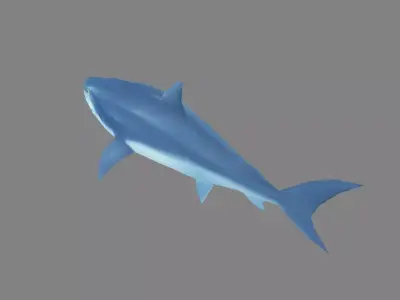 Cartoon Shark Low-poly 3D model