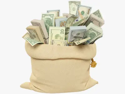  Money Bags Collection V40 