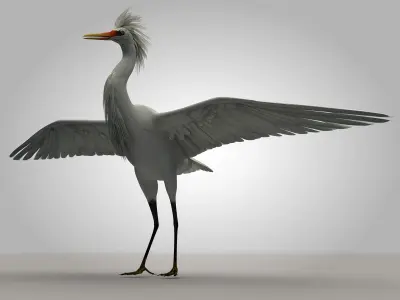 Egretta eulophotes Egret Bird Low-poly 3D model purchase
