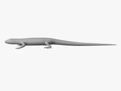 Low Poly Lizard Low-poly 3D model