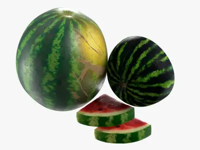 Fresh Watermelon with Half and Cut Slice 3D model