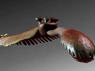 opabinia 3D model