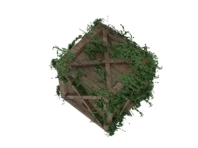 Moss Crate  3D model