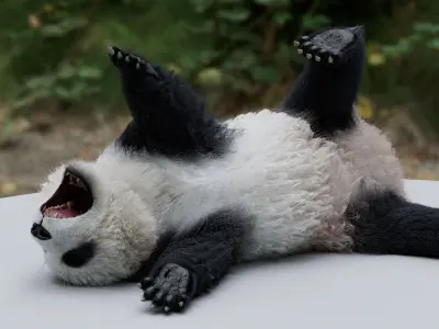  Panda RIGGED 