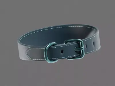 Dog Collar  Low-poly 3D model purchase