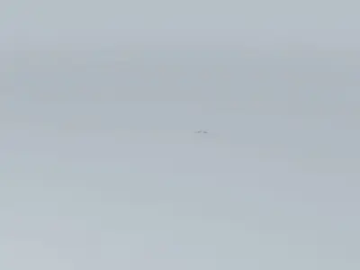 R5AC First Flights Airplane Crashes Free 3D model