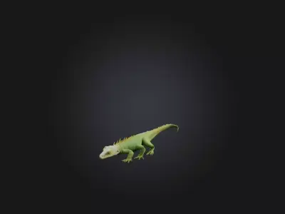 Realistic Lizard Model Low-poly 3D model