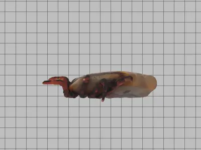 Big Tick Low-poly 3D model